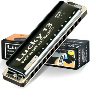 East top Lucky 13 Bass Plus Blues Harmonica 13 Holes Diatonic Harp Mouth Organ Professional Richter harmonica G key for Adults