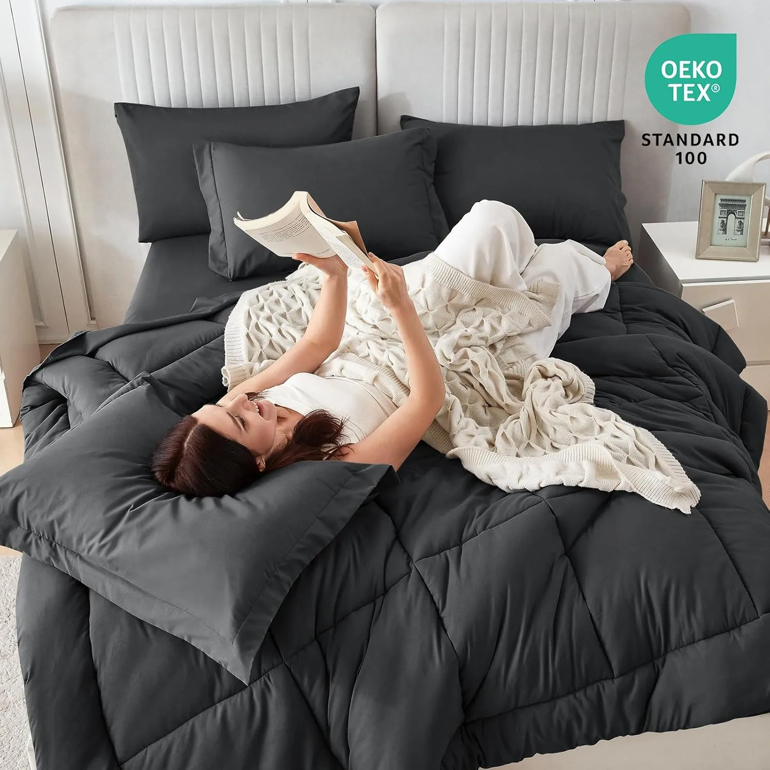 Sasttie Queen Comforter Set, 7 Pieces Bed in a Bag Queen, Complete Bedding Set Includes Grey Comforter, Flat Sheet, Fitted Sheet, Pillowcases and Pillow Shams, Dark Grey