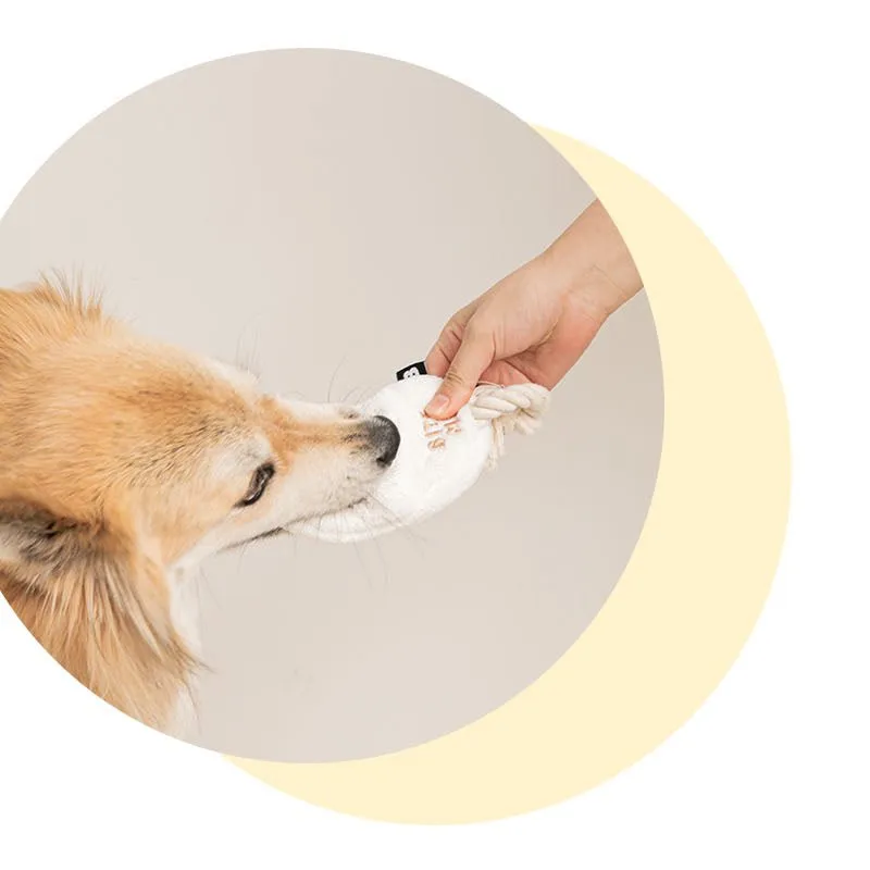 Slipper Tug Toy (2 Designs)