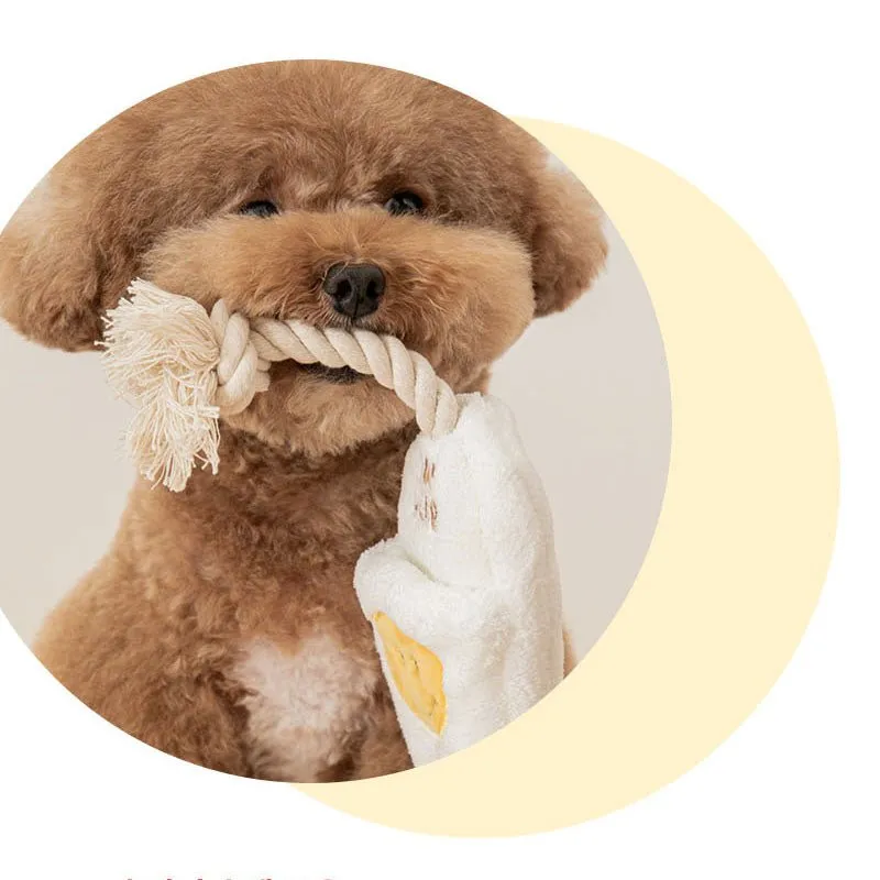 Slipper Tug Toy (2 Designs)