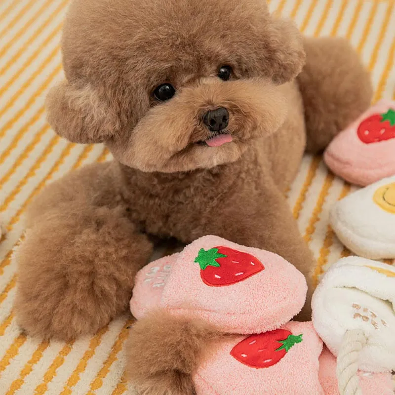 Slipper Tug Toy (2 Designs)